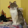Отзыв от Эльмира Косарева